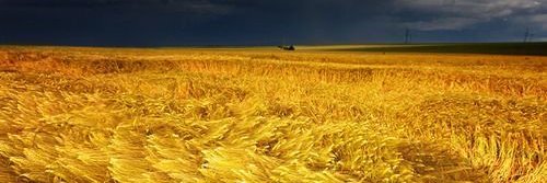 tractrisa's profile banner image
