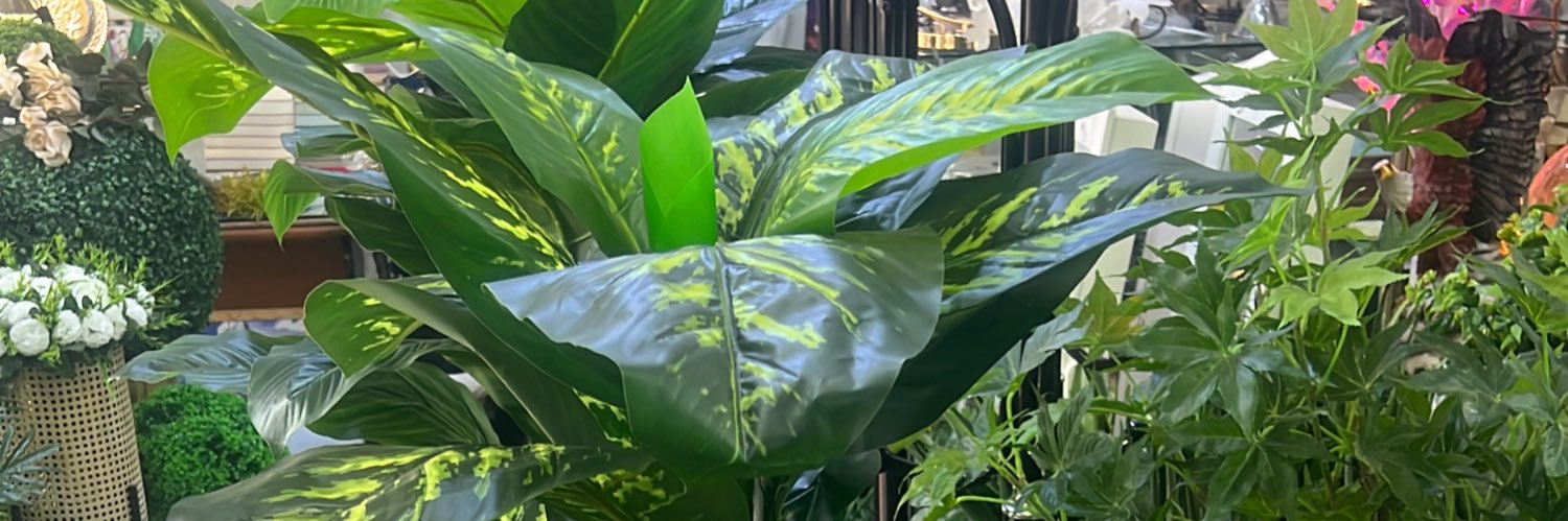  سن توب banner