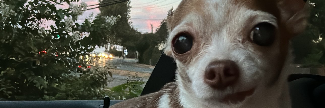 _wowmelz's profile banner image
