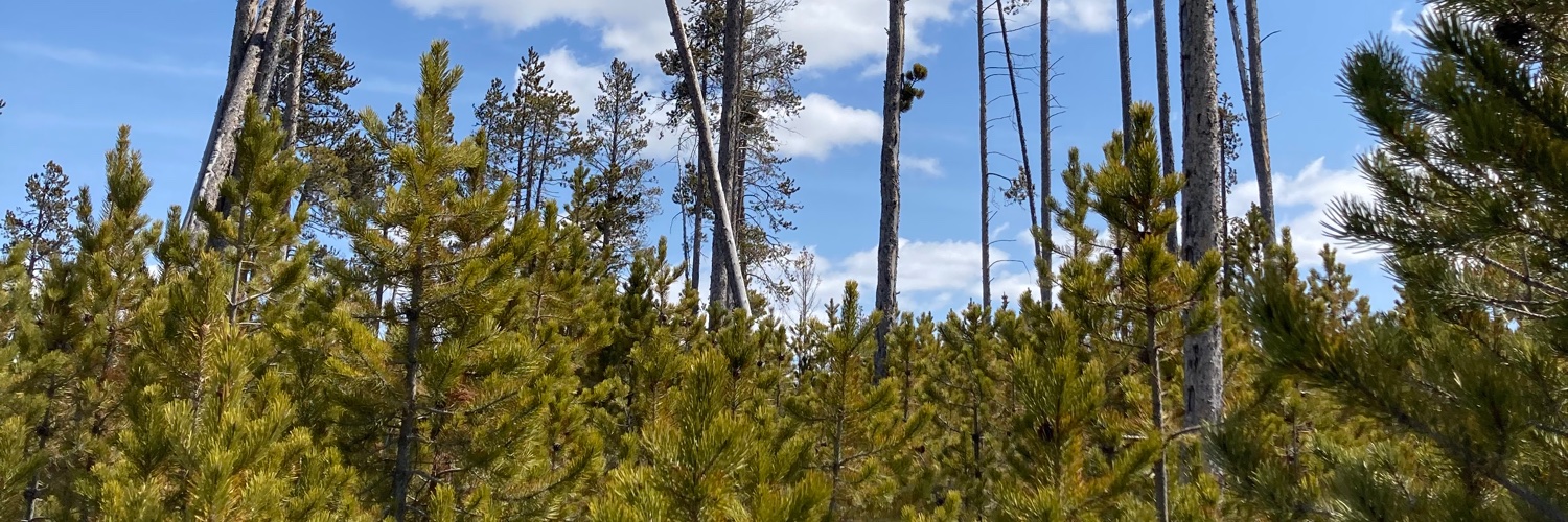 elliott bennett banner