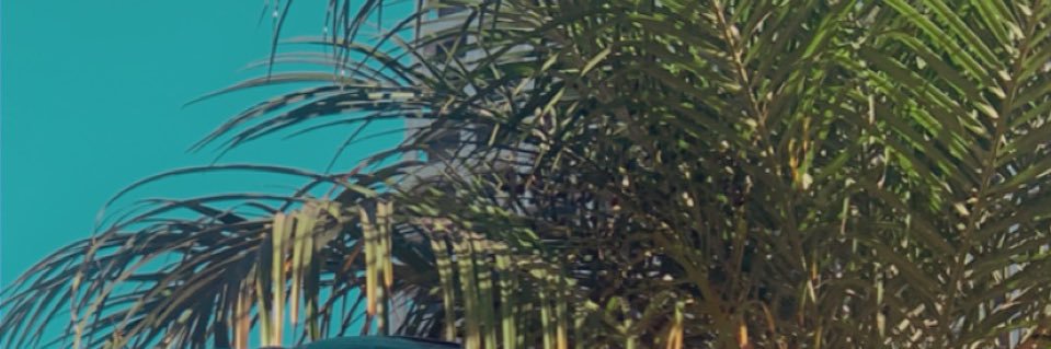 NtoXicating's profile banner image