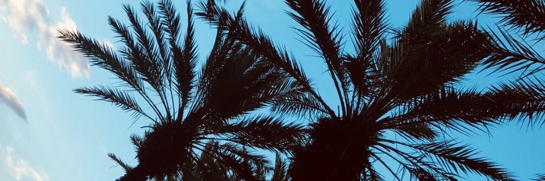 Rylee_Heyza's profile banner image