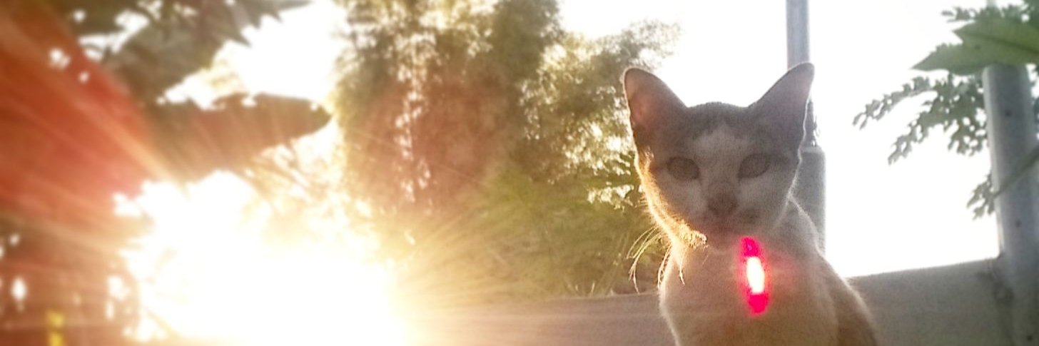 watsin's profile banner image