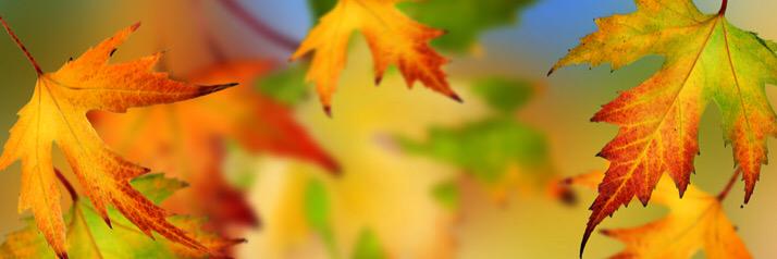 beautifulmess26's profile banner image