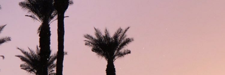 IvizG's profile banner image