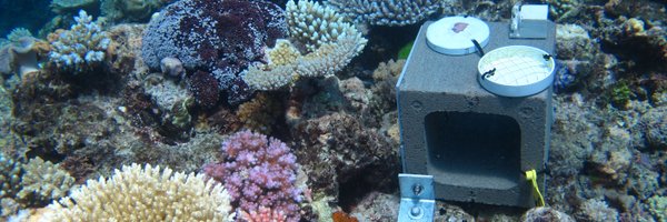 reef_scientist Profile Banner