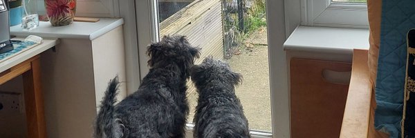 bexmil89 Profile Banner