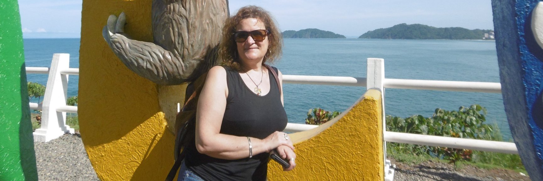 rosacambria's profile banner image