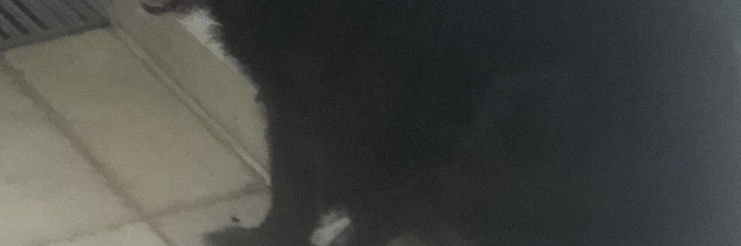 Leandraantzuk's profile banner image