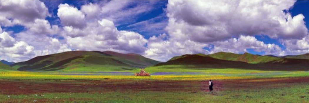 vanessaperillat banner