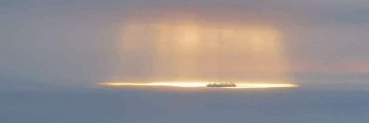 MarroniD's profile banner image