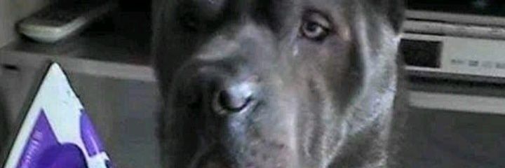 get_a_fire's profile banner image