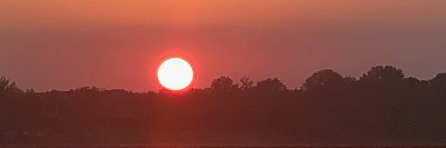 LindaLinh's profile banner image