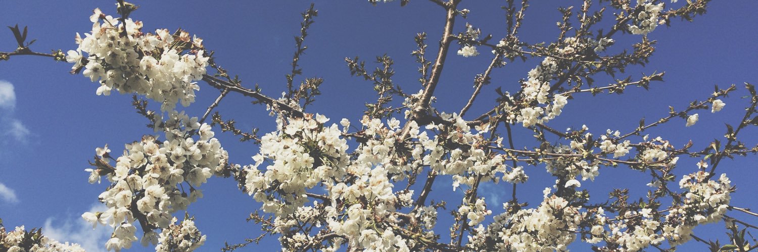 HulyaaMiran's profile banner image