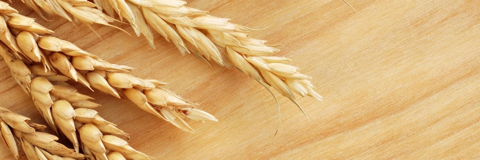 MarketBakery's profile banner image
