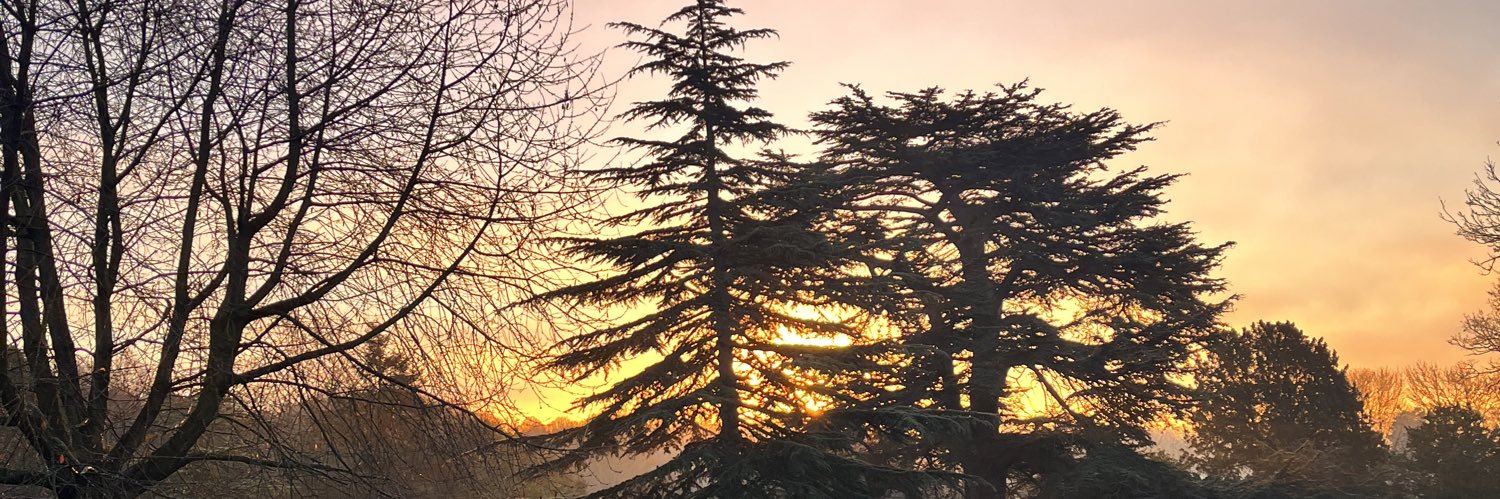 bigC_85's profile banner image