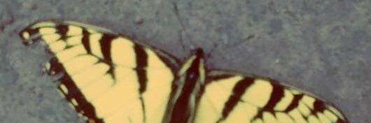 beccamalicious's profile banner image