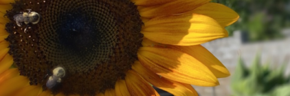 GINAFREDERICK's profile banner image