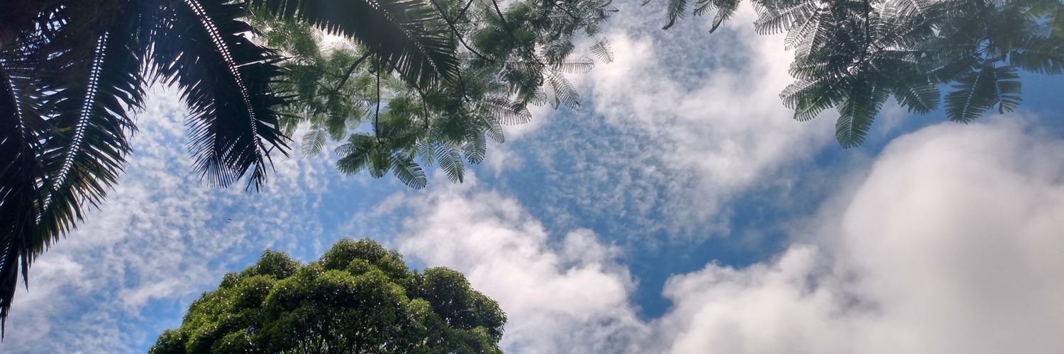 ariareia2001's profile banner image
