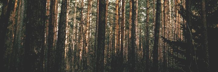 NoSoloEsUnLibro's profile banner image