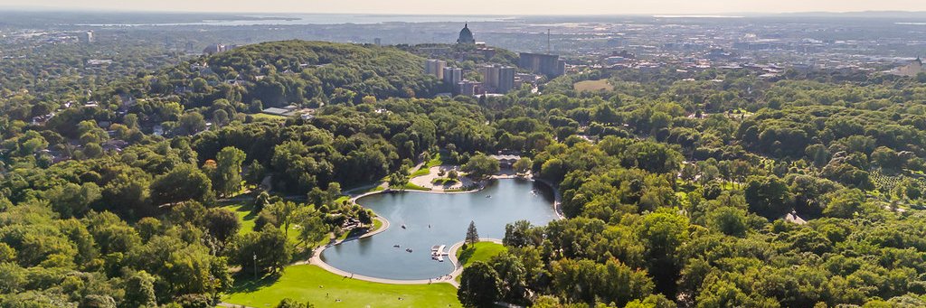 Monmontreal's profile banner image