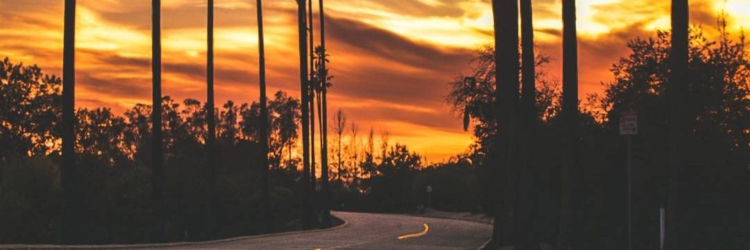 Andre_gR25's profile banner image