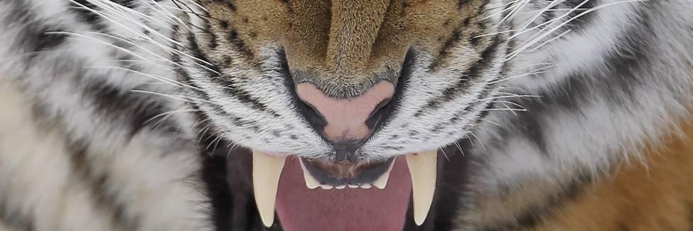 GreiceAmaroo's profile banner image