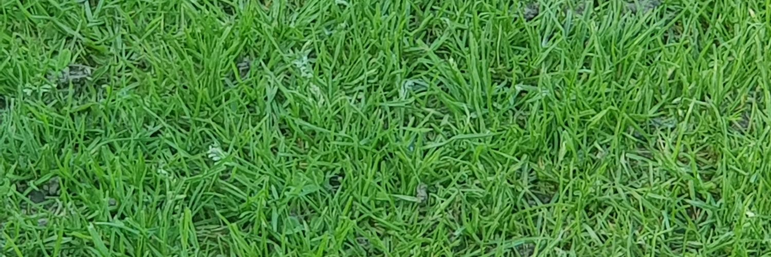 LongridgeTownJnrFC banner