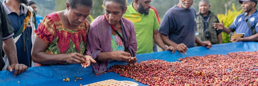 Fairtrade Australia banner