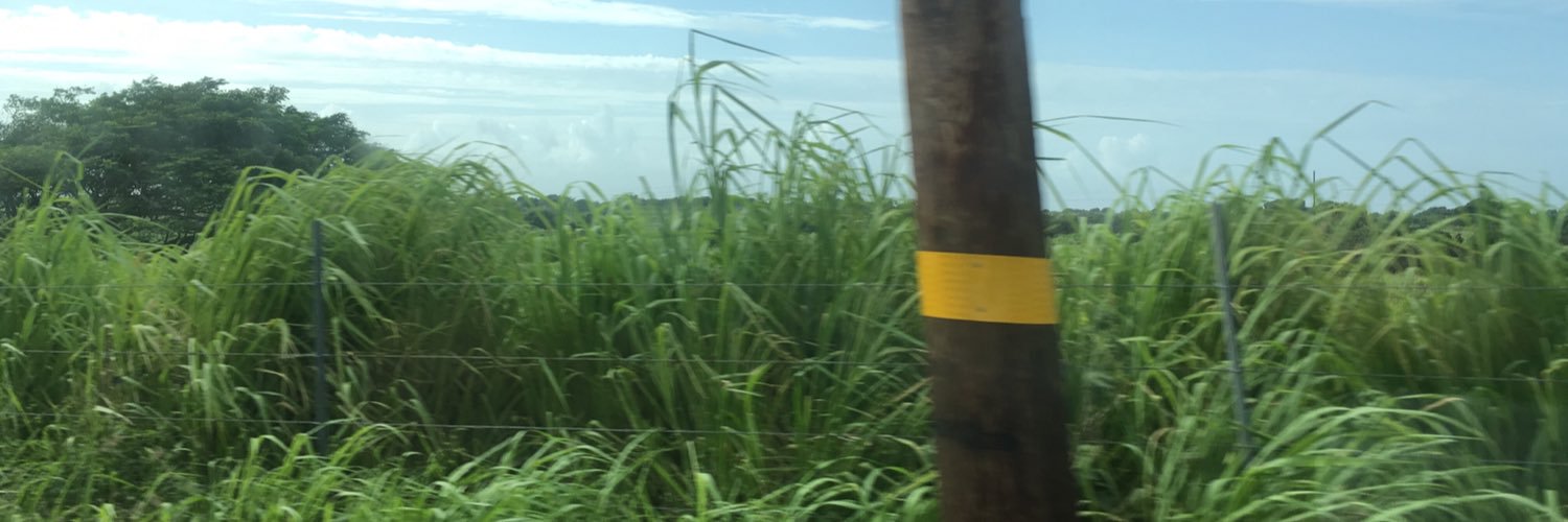 guidemichlin's profile banner image