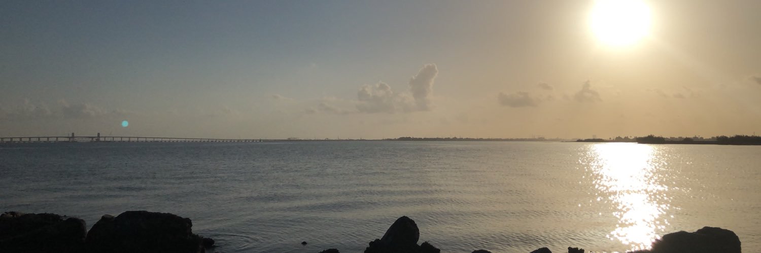 MrsFalconeSLE's profile banner image