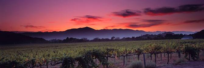 VVWineTrail's profile banner image
