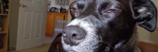 jcmorett0's profile banner image