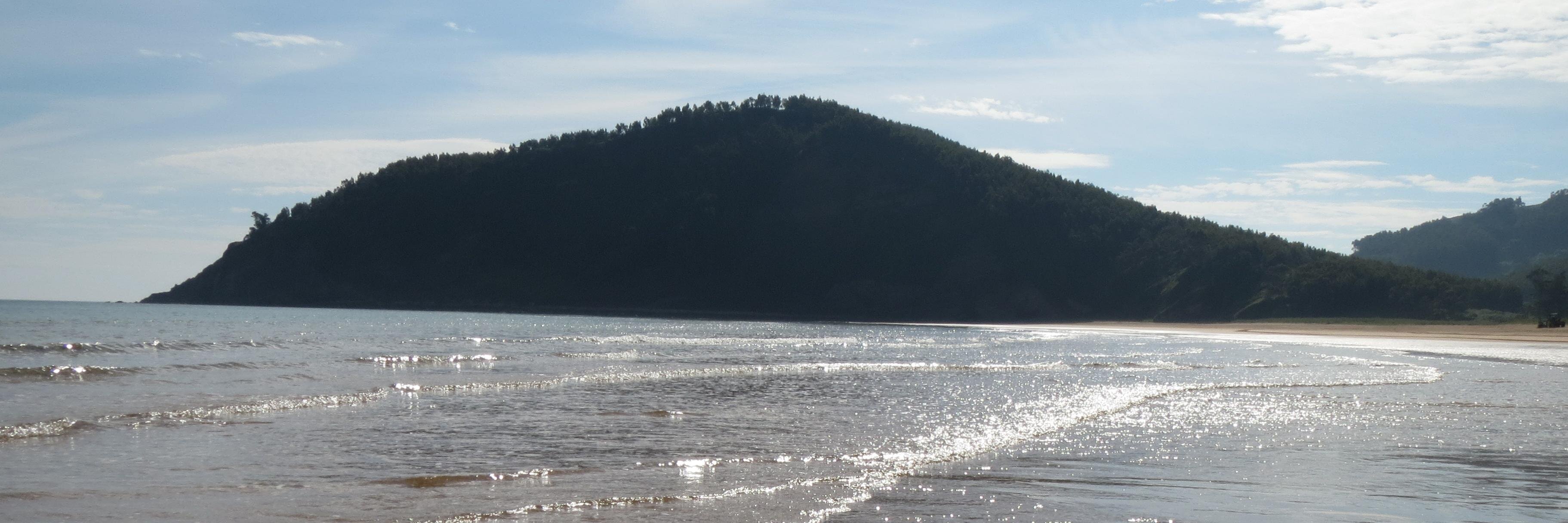 Tomás Fernández banner