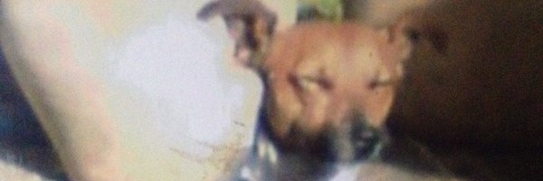 OlwynHope Profile Banner