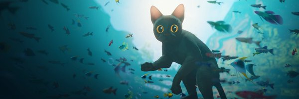 Blender Profile Banner