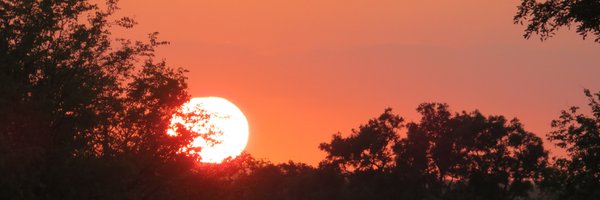 PeterByass Profile Banner