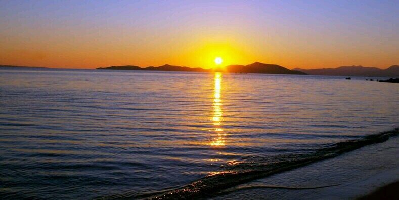 ulaş 🏴‍☠️ banner