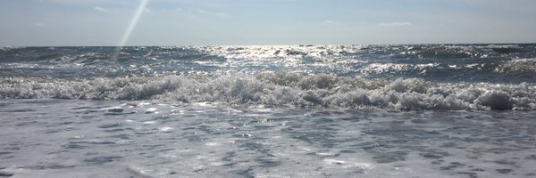 LGHemkens Profile Banner