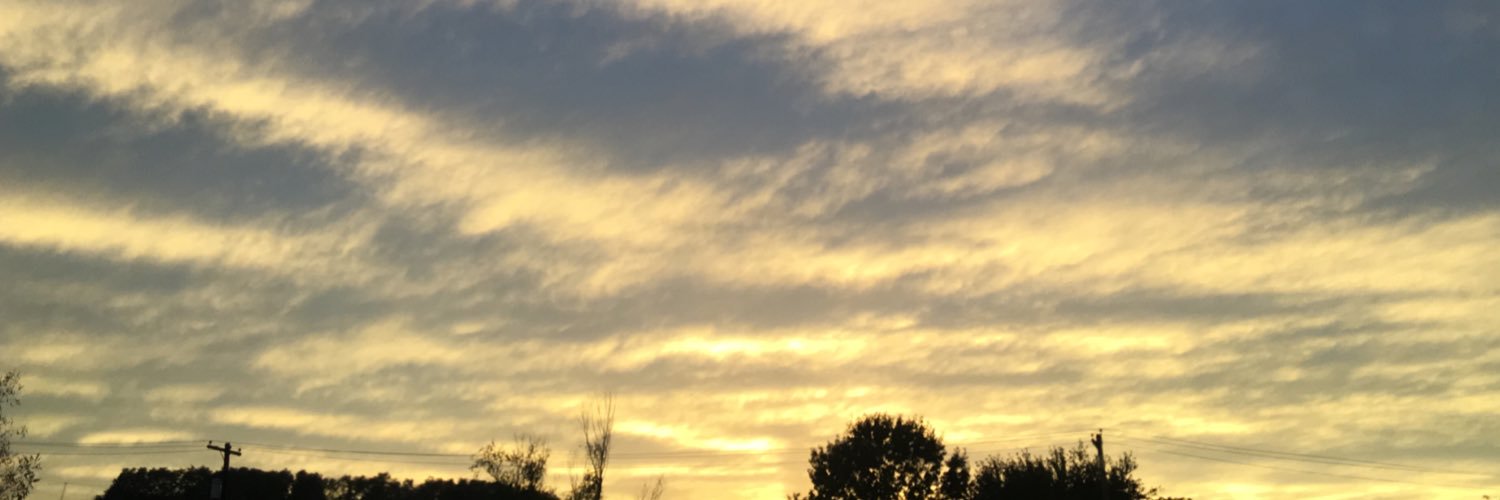 whatthefox211's profile banner image