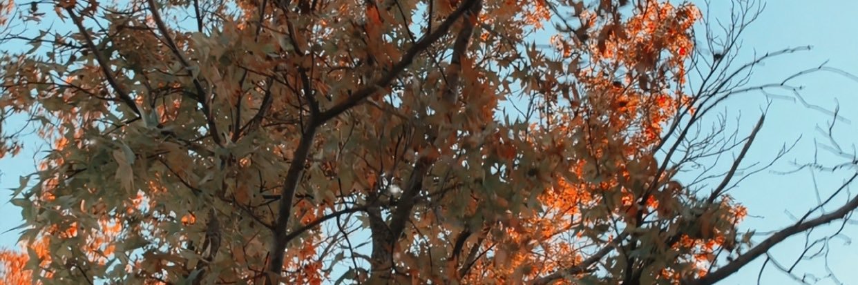 rileystuart5's profile banner image