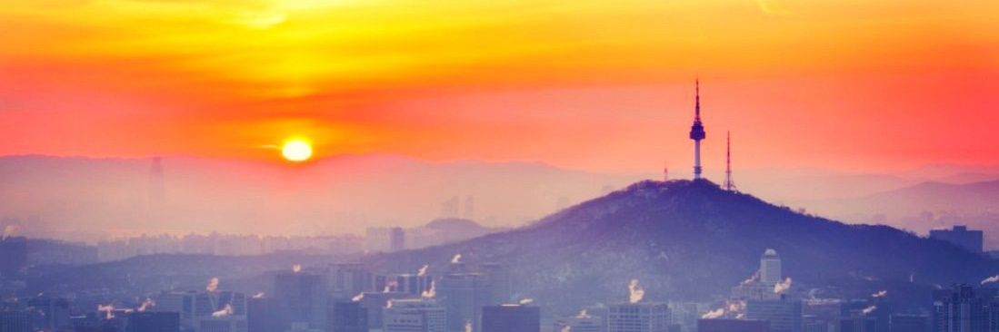 丽娜🌸Lina banner