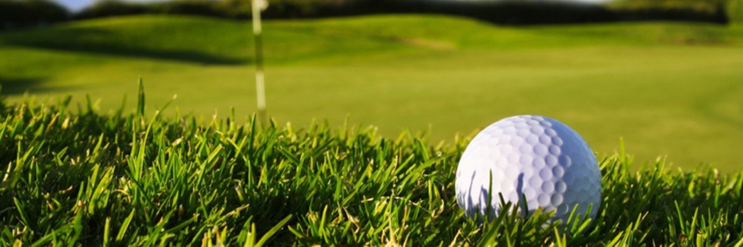 FoodServiceGolf's profile banner image