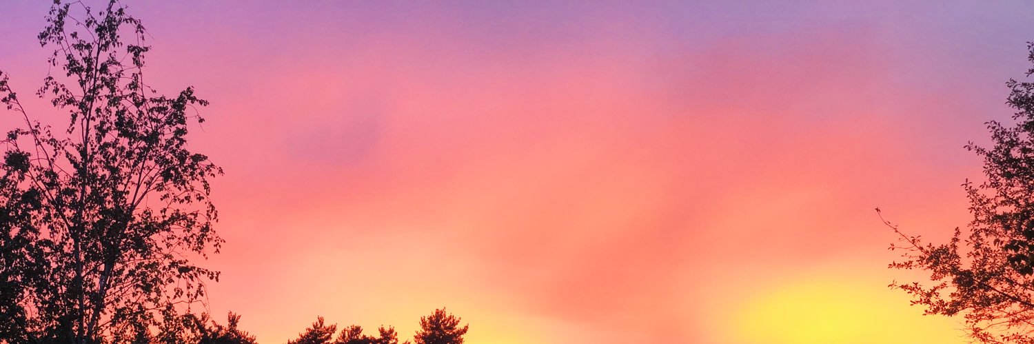 nuh1842's profile banner image