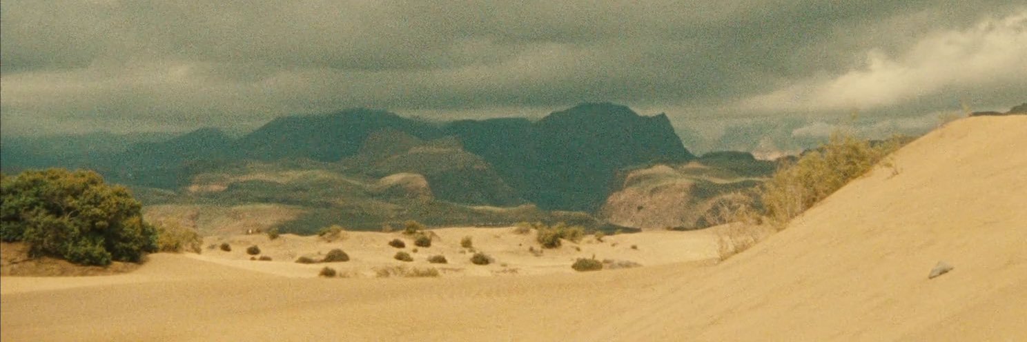 natalie's banner