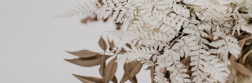 kaitmweaver's profile banner image