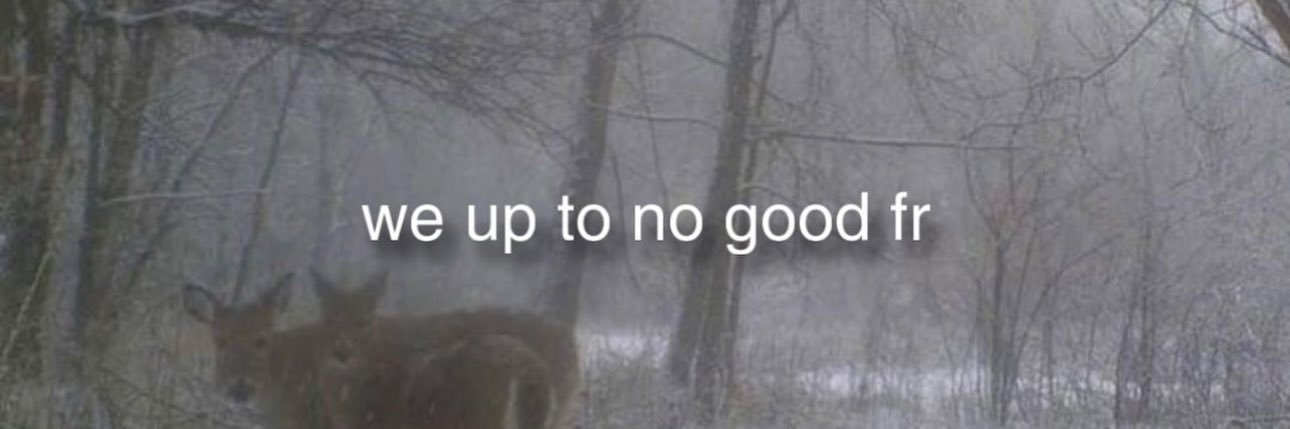 cydni_cottrell's profile banner image