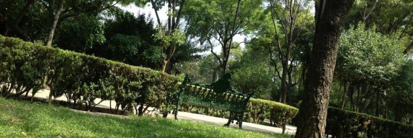 Colonia Álamos CDMX banner