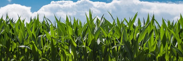 FeedTheDialogue Profile Banner