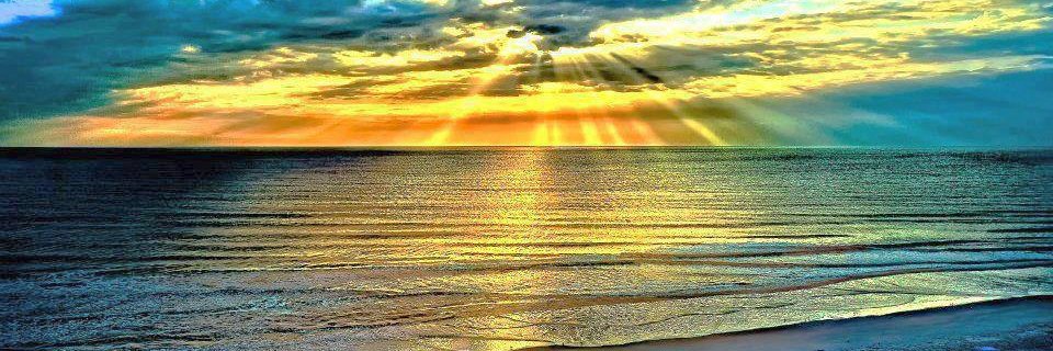 Chellis Brokaw banner